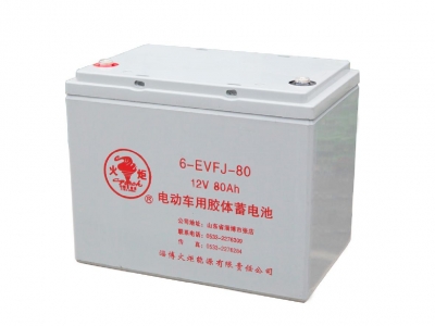 6-EVFJ-80 電動車用膠體蓄電池